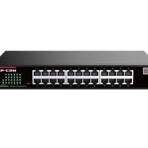 G2224D 24-портовый гигабитный облачный коммутатор 24GE